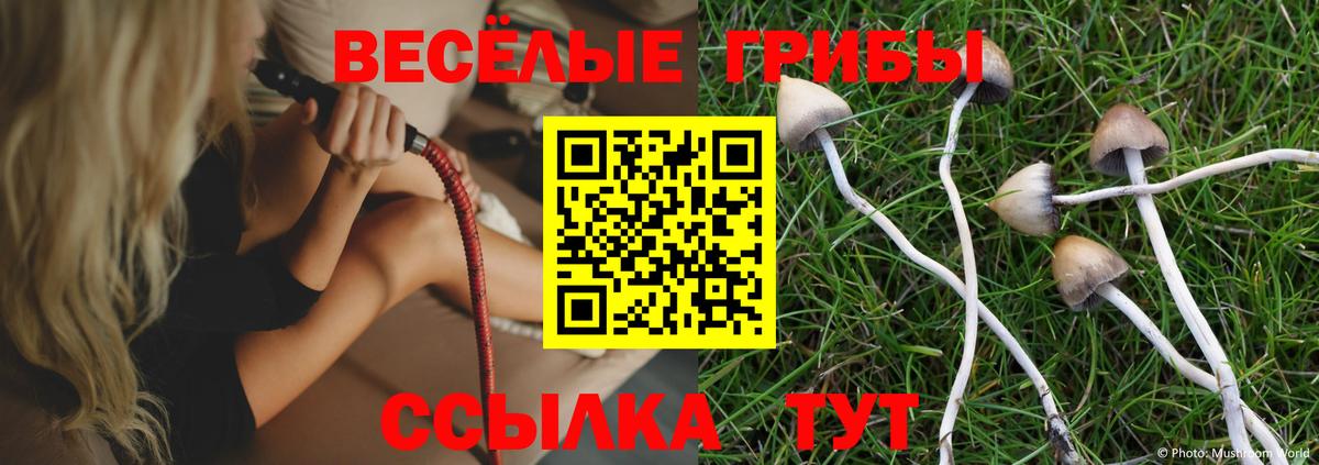 Семёнов  цена   Вход с VPN  Псилоцибиновые грибы прущие грибы 